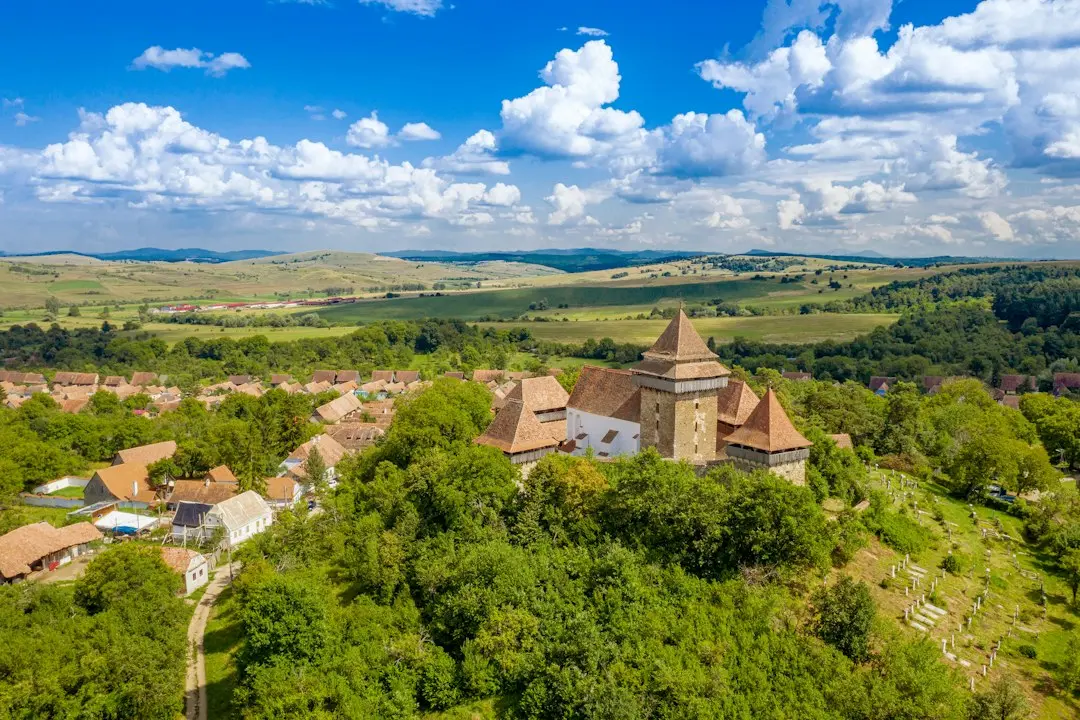 Ciorbă de roșii oltenească cu fideo și legume, gustul copilăriei
