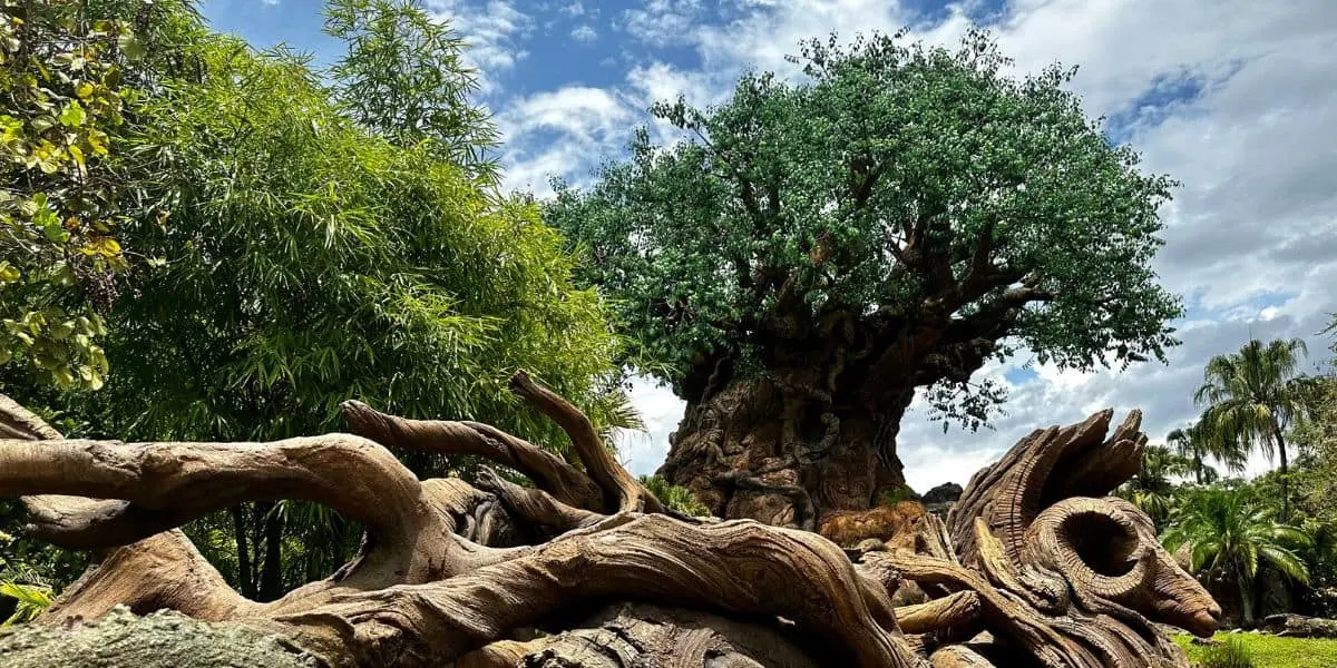 Noua informație a ieșit la lumina cu privire la locul înlocuit al Regatului Animal în Disney World
