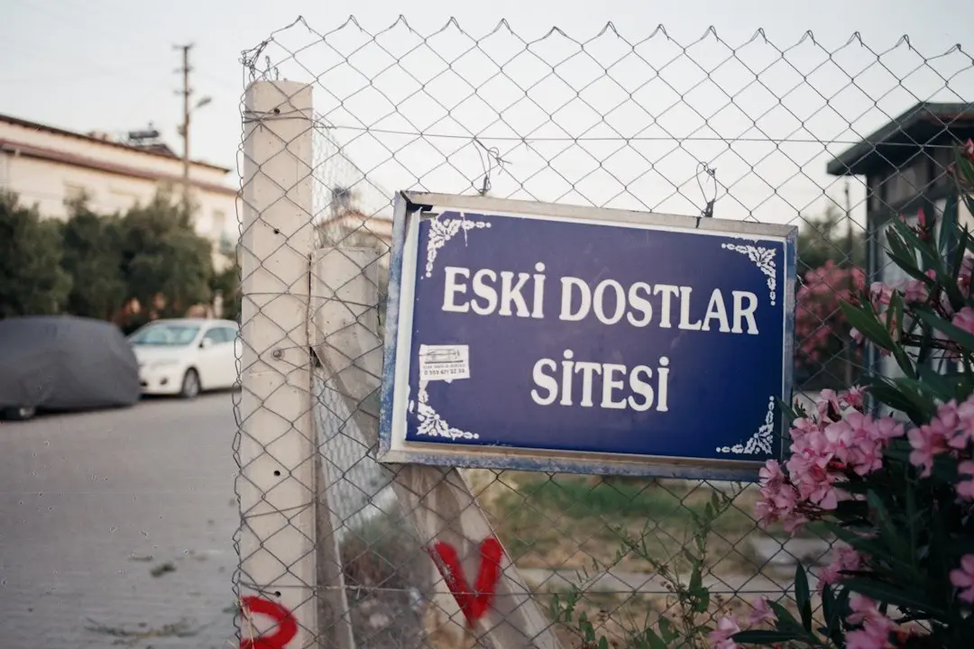 Rețetă simplă de șnițel Caesar de pui la cuptor