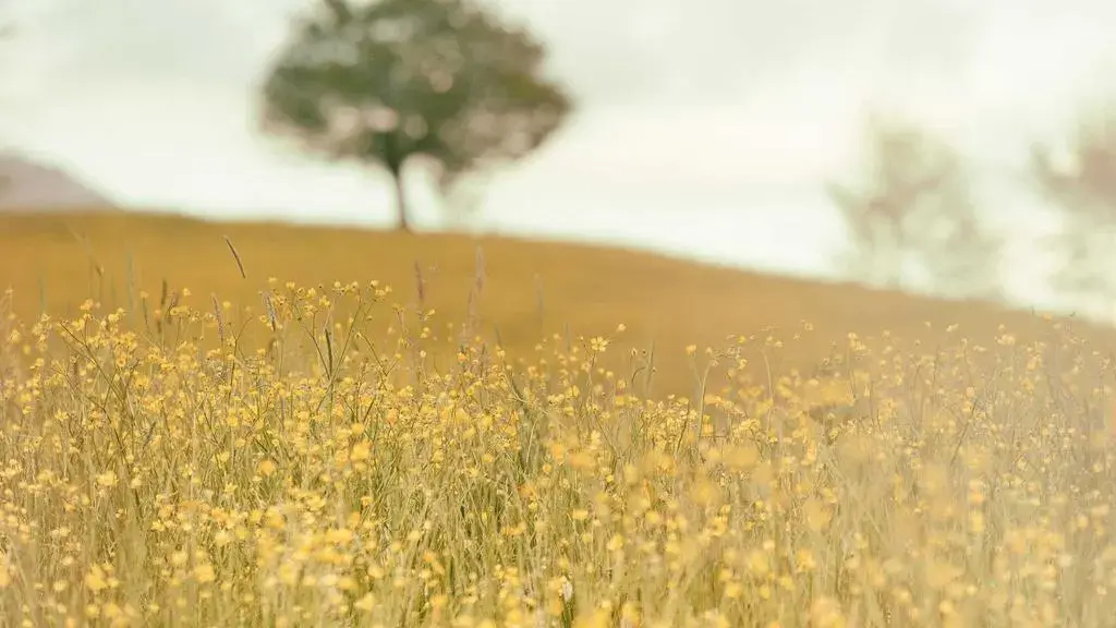 Tinerii fermieri Corbu: de la drujba pe YouTube la o agricultură diferită în România