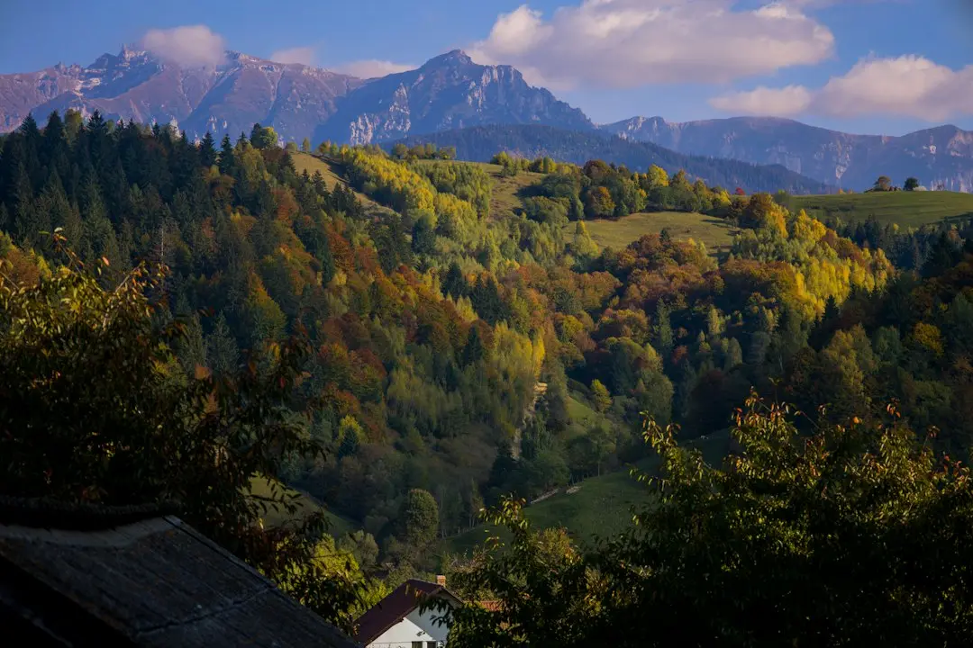 Top 10 orașe din România cu cele mai scumpe apartamente